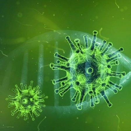 Corona Virus Covid-19 Covit-19 Coronavirus mit DNA. Infektionsgefahr Ansteckung, Zeichnung Grün